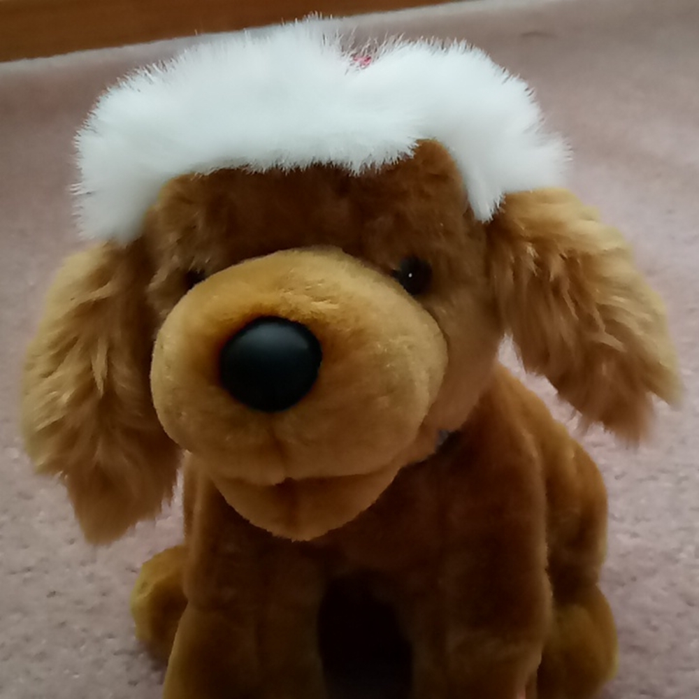 Canine Caroler